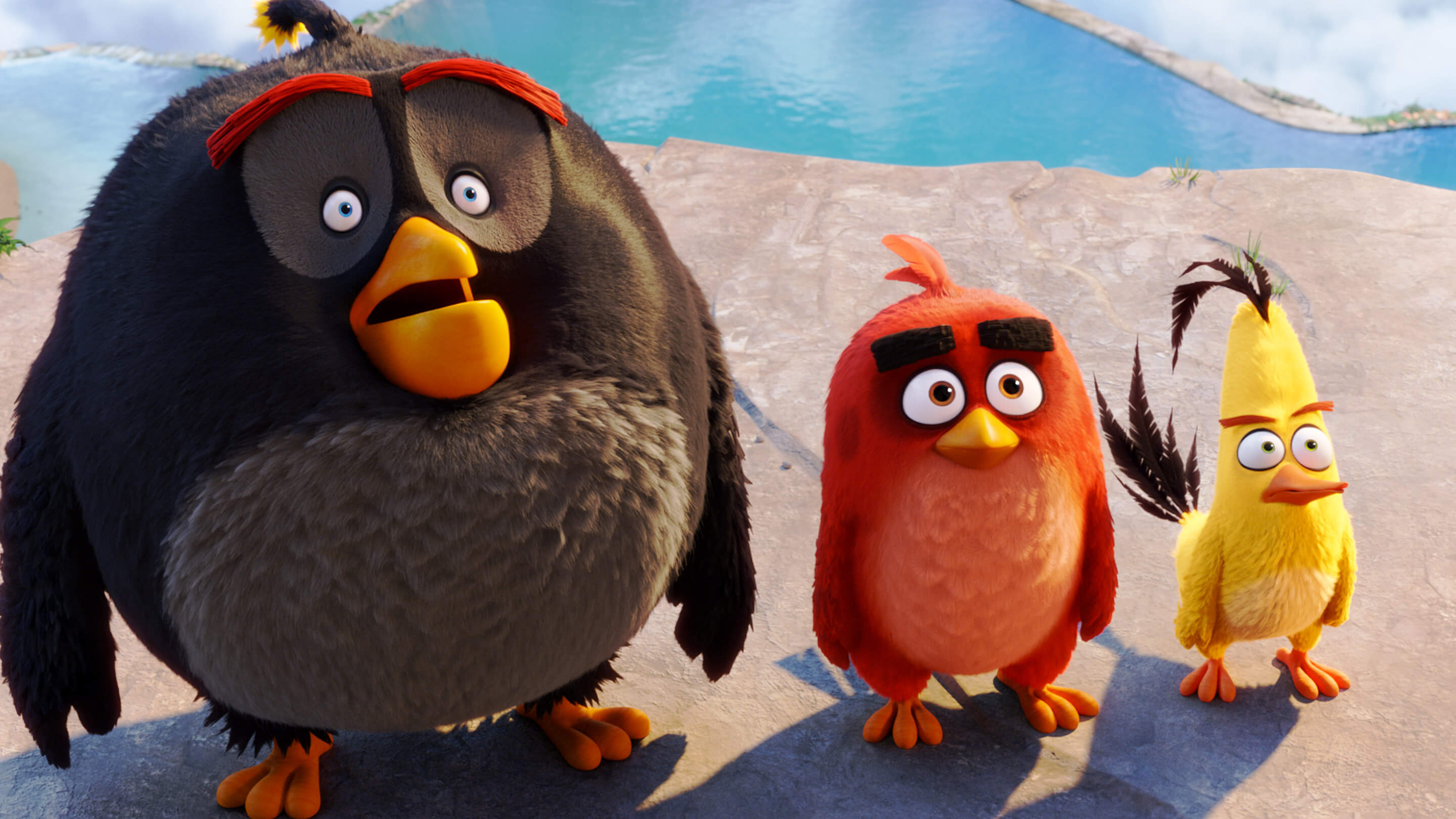 Angry Birds Game
