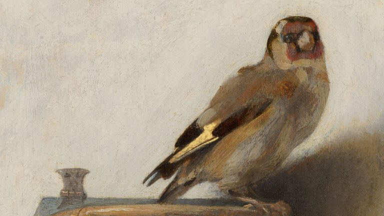 The Goldfinch – A Bird’s Eye View